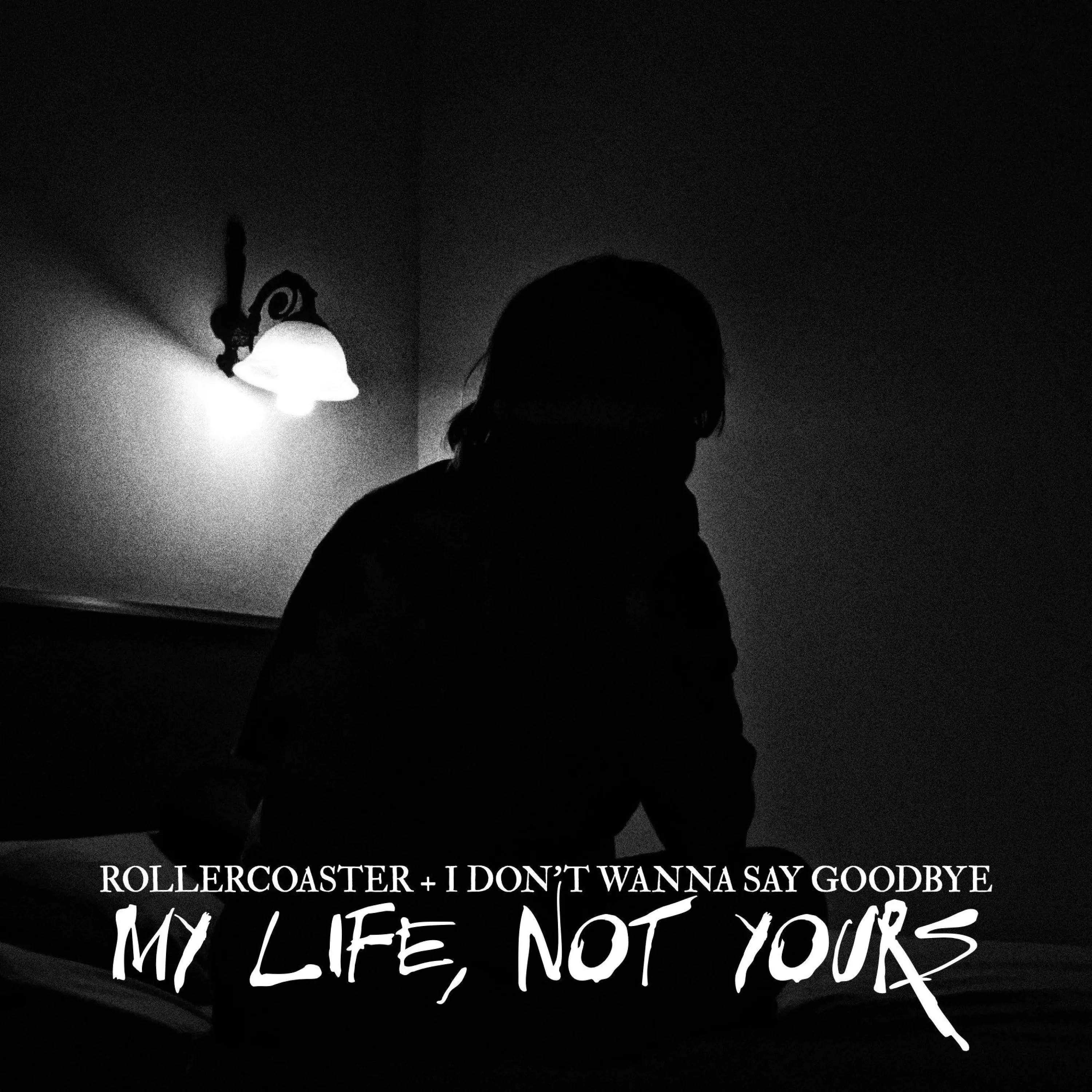 ROLLERCOASTER + I DON'T WANNA SAY GOODBYE